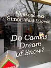Image - Do Camels Dream of Snow?